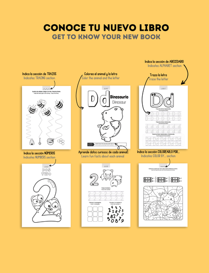 ABC & 123 Coloring and Tracing Bilingual Workbook -Digital download